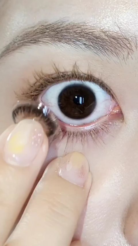 feliamo 1day/feliamo/ワンデー（１DAY）カラコンを使ったクチコミ（1枚目）