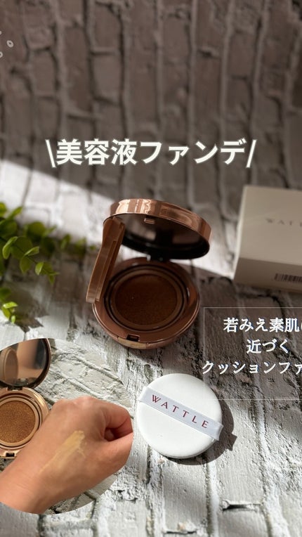 WATTLEクッションファンデーション/WATTLE/クッションファンデーションの人気ショート動画