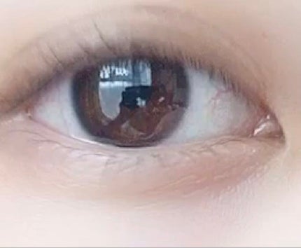 スキニーリッチシャドウ/excel/アイシャドウパレットを使ったクチコミ(3枚目)