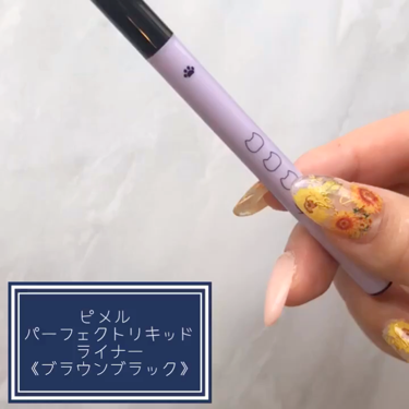 ピメル パーフェクトリキッドライナー/pdc/リキッドアイライナーを使ったクチコミ(3枚目)