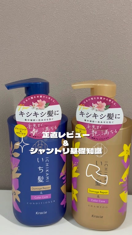 ダメージリペア&カラーケア シャンプー/コンディショナー/いち髪/市販シャンプーの人気ショート動画