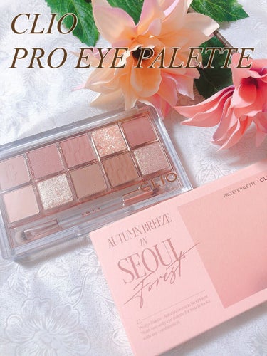 CLIO プロ アイ パレット

・12 AUTUMN BREEZE IN SEOUL FOREST
・価格 : 3,760円 (税込)
・ウォームトーンを集めた新作パレット

＊色味　　　　　　★★★