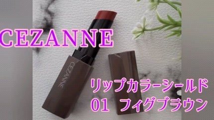 リップカラーシールド/CEZANNE/口紅を使ったクチコミ(1枚目)