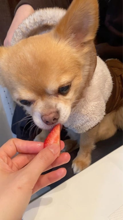 カラフル バスパレット レインボーミックス/まなぶろ/炭酸系入浴剤を使ったクチコミ(8枚目)