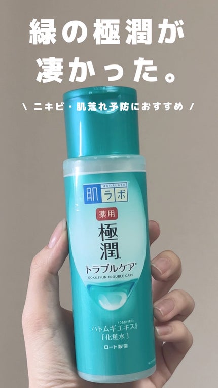 薬用 極潤 スキンコンディショナー/肌ラボ/化粧水を使ったクチコミ(1枚目)