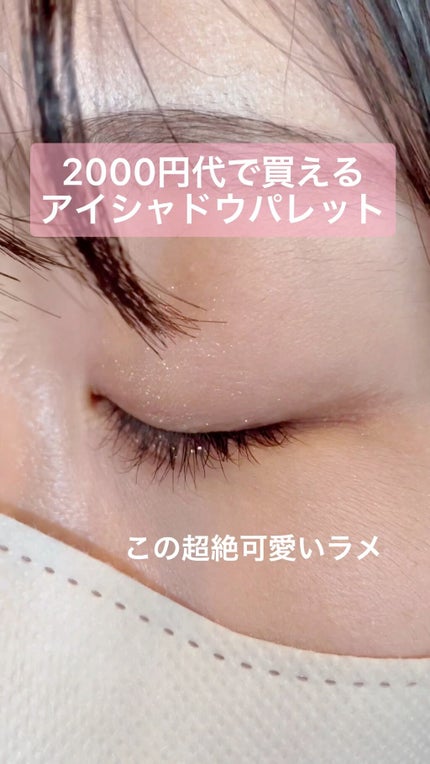 プロ アイパレット ミニ/CLIO/アイシャドウパレットを使ったクチコミ(1枚目)