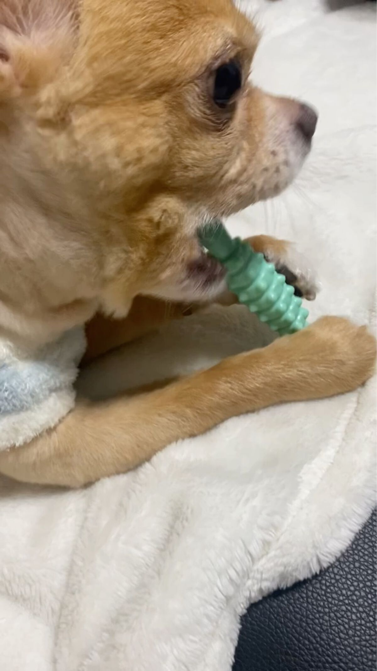 ランテルディ オーデパルファム/GIVENCHY/香水(レディース)の動画クチコミ4つ目