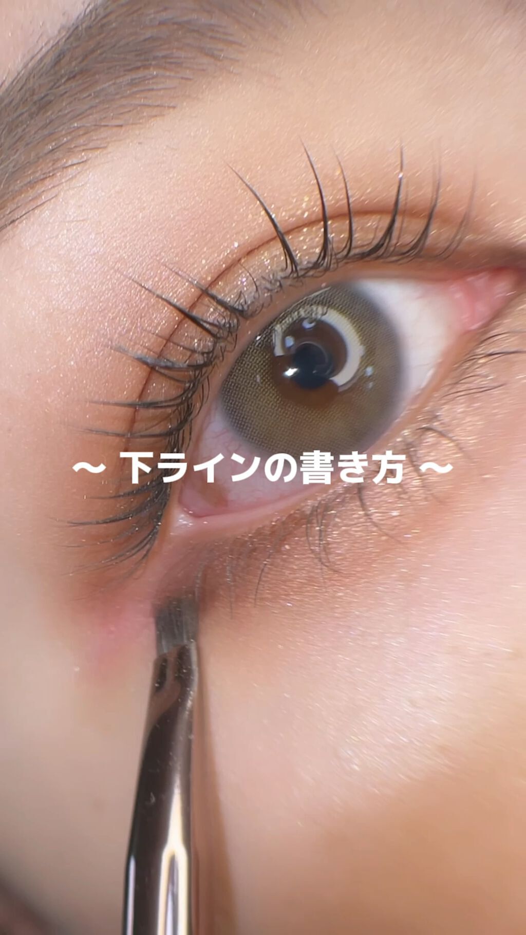 SIXPLUS ホワイトパール アイメイクブラシ 7本セット/SIXPLUS/メイクブラシの動画クチコミ1つ目