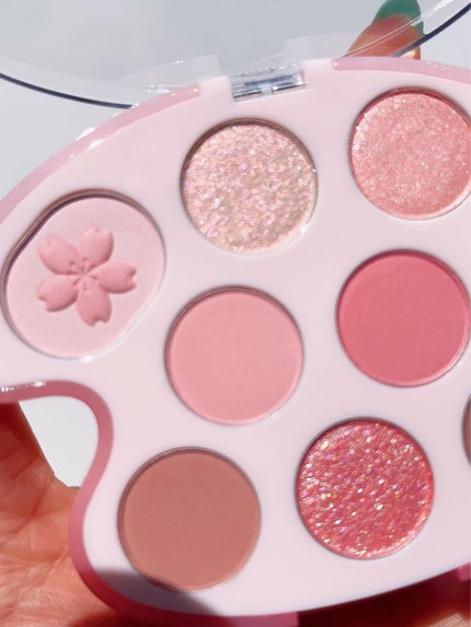 シャドウパレット/dasique/アイシャドウパレットの動画クチコミ5つ目