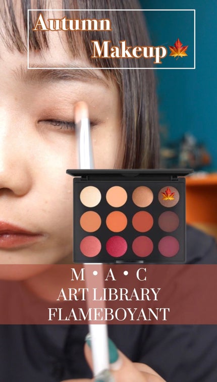 アート ライブラリー/M・A・C/アイシャドウパレットの人気ショート動画