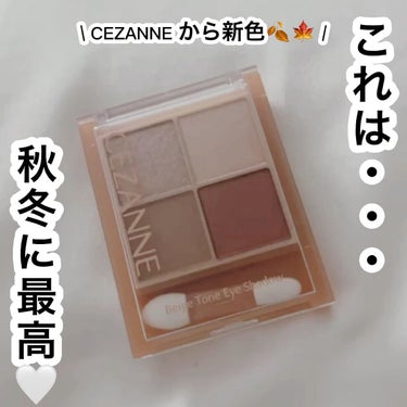 ベージュトーンアイシャドウ/CEZANNE/アイシャドウパレットを使ったクチコミ（1枚目）