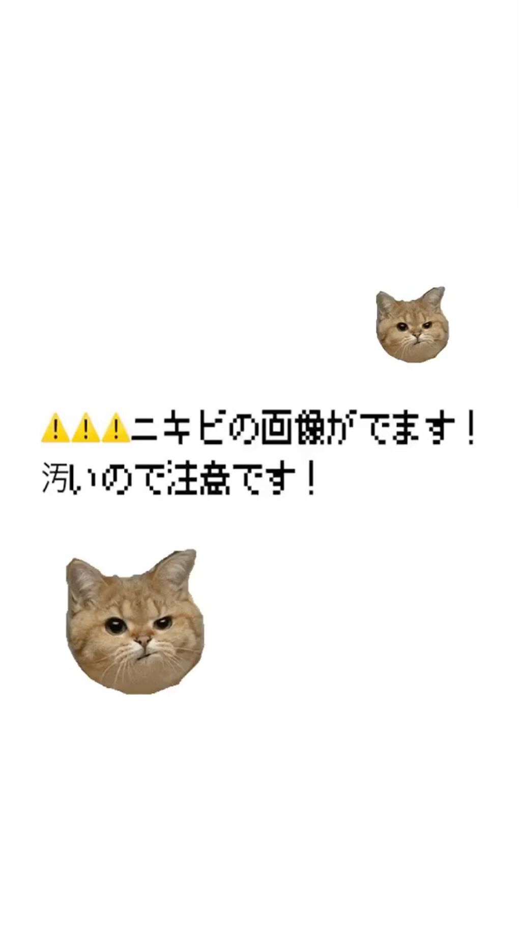 白潤プレミアム薬用浸透美白化粧水/肌ラボ/化粧水を使ったクチコミ（1枚目）