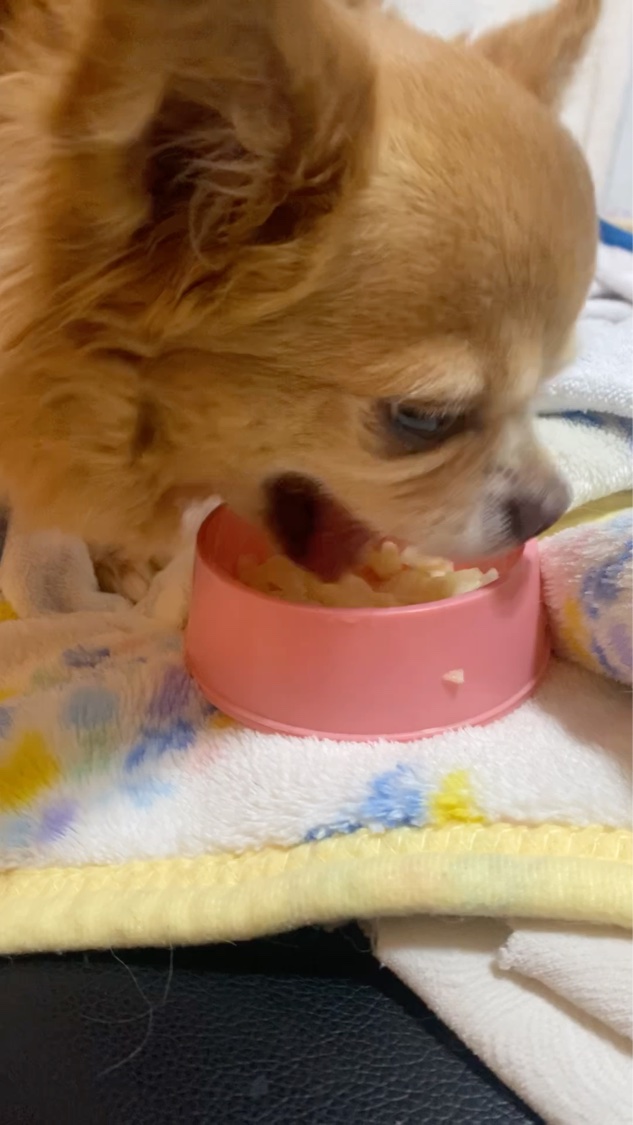 グロウ フィクシングティント/ETUDE/リップティントの動画クチコミ4つ目