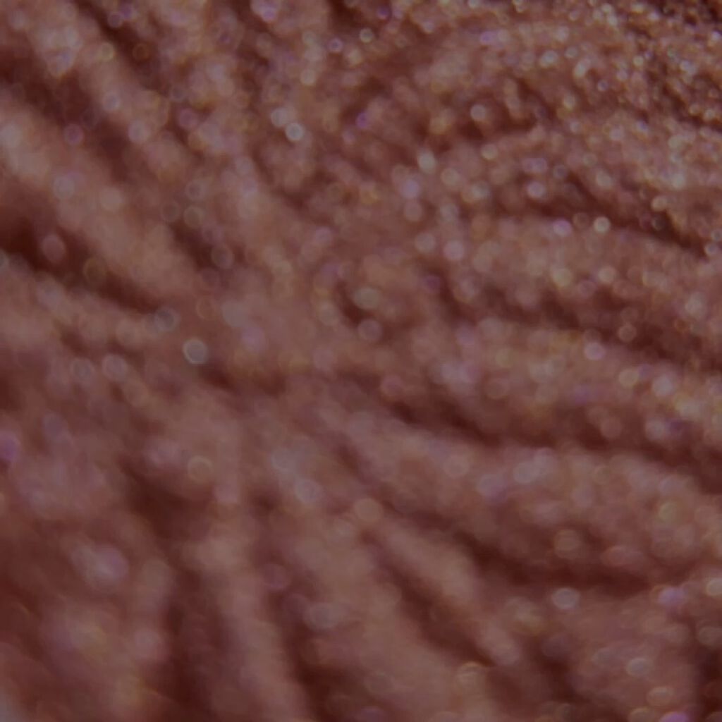 アイカラー CS/PAUL & JOE BEAUTE/アイシャドウパレットの動画クチコミ5つ目