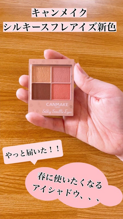 シルキースフレアイズ(マットタイプ)/キャンメイク/アイシャドウパレットの人気ショート動画