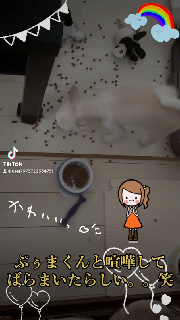 SIXPLUS コーヒー色アイメイクブラシ7本セット/SIXPLUS/メイクブラシの動画クチコミ5つ目