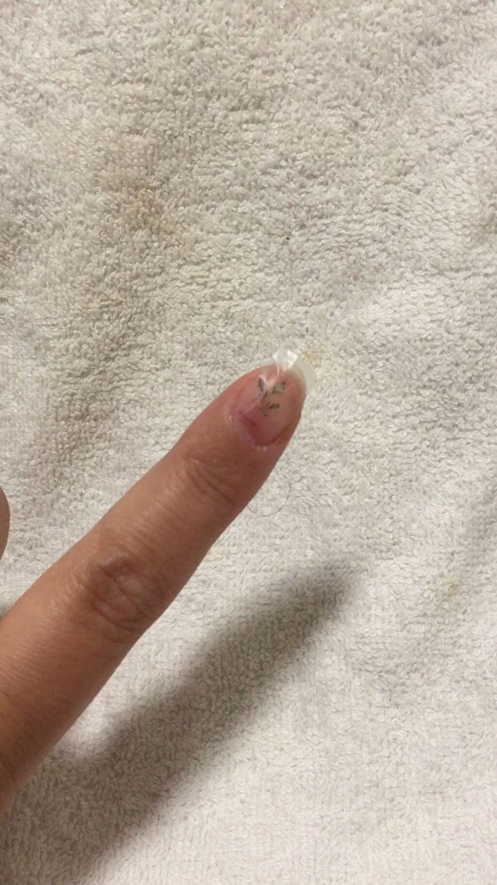 しずくウォーターネイルシール/キャンドゥ/ネイルシールを使ったクチコミ（1枚目）