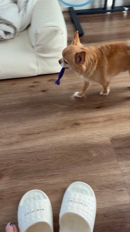 シアーグラスリップスティック/hana by hince/口紅を使ったクチコミ(8枚目)