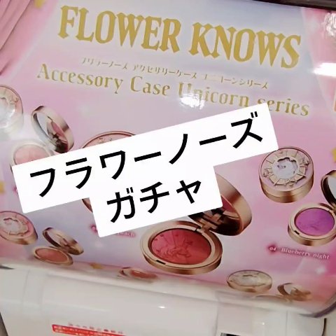 フラワーノーズ
ガチャ

✼••┈┈••✼••┈┈••✼••┈┈••✼•
500円

可愛い

気になってる方 是非チェックしてみてください
＃コスメガチャ
＃FlowerKnowsチーク　＃FlowerKnows
＃チーク　＃フラワーノー