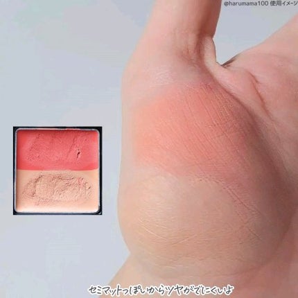 リシェ レッドトリック アイコンシーラー/Visée/パレットコンシーラーを使ったクチコミ(3枚目)