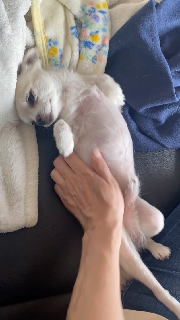 ネロリ・ポルトフィーノ フォルテ オード パルファム スプレィ/TOM FORD BEAUTY/香水(レディース)の動画クチコミ2つ目