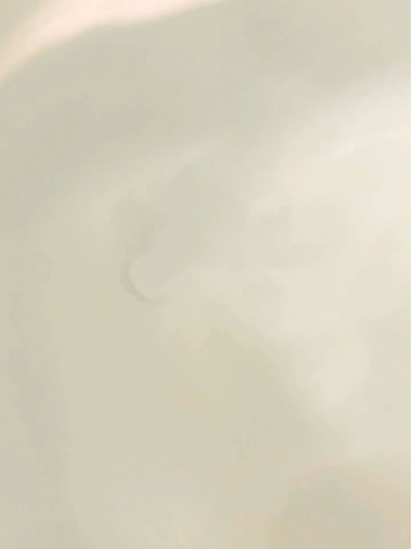 Beauwell（ビューウェル）  アンドグッドナイト 薬用入浴剤 重炭酸/ビューウェル/炭酸系入浴剤の動画クチコミ5つ目