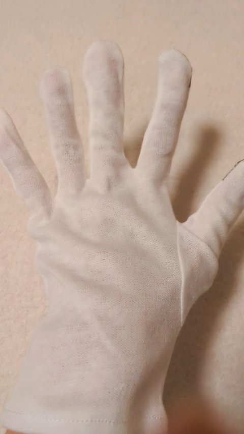 スマートフォン対応おやすみ手袋（両手）/DAISO/ボディグッズの動画クチコミ1つ目