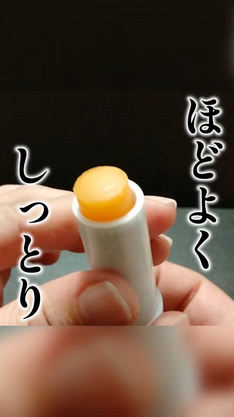 リップケアスティック/ドクターハウシュカ　/リップクリームを使ったクチコミ（1枚目）