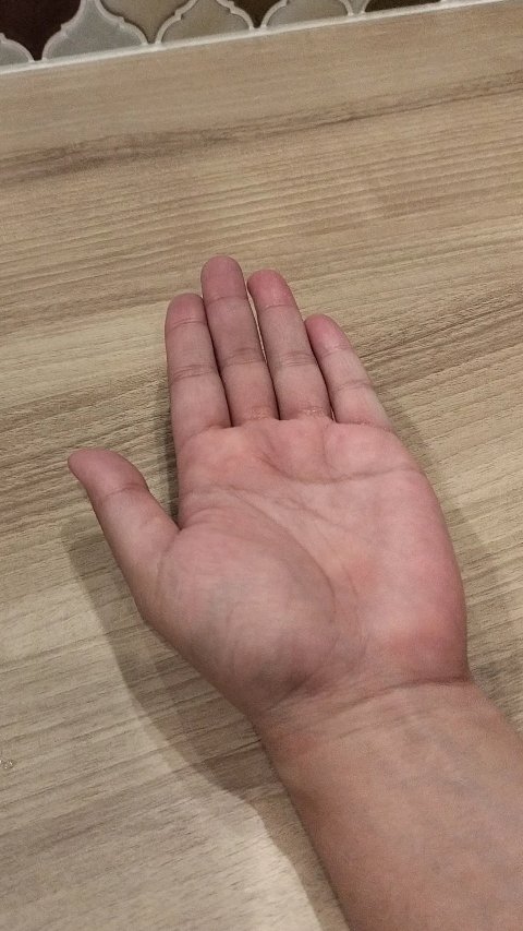 モコアート フォーミングスプレー ブルーベリーの香り/Mocoart/保湿系入浴剤を使ったクチコミ（2枚目）