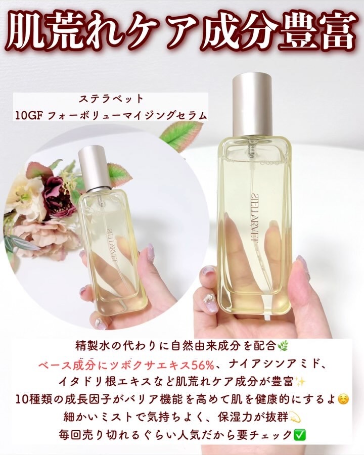 STELLARVET 公式商品 STELLARVET(ステラベット) | 定番から新作まで人気おすすめ商品