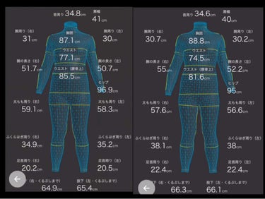 ダイエット経過報告
【5月1日～5月16日】

5月1日(開始)
　体重　：58.8㎏
体脂肪率：29.5％

5月16日(～半月経過)
　体重　：56.6㎏
体脂肪率：26.7％

やったこと
間食を