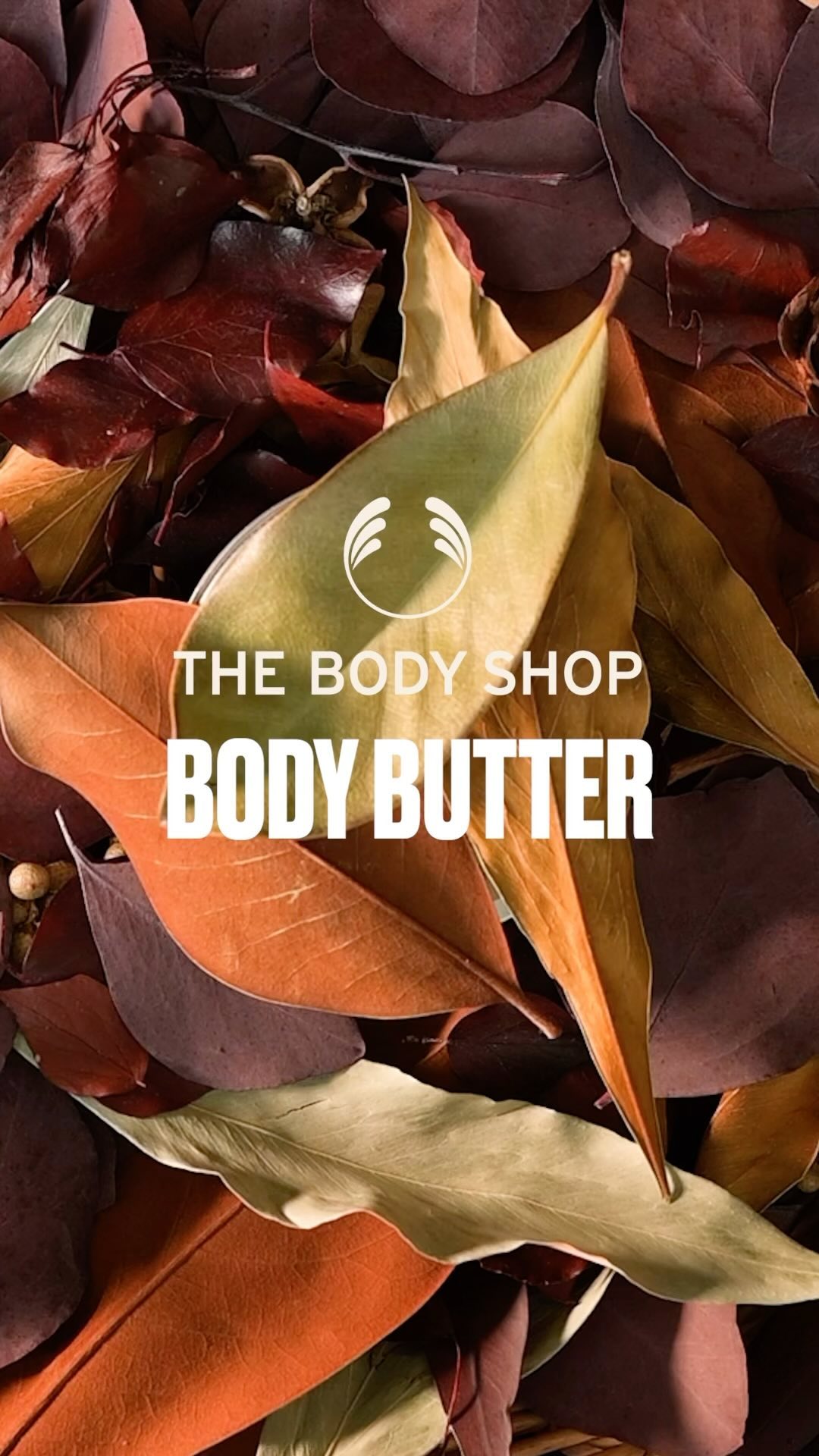 ボディバター ココナッツ/THE BODY SHOP/ボディクリームを使ったクチコミ（1枚目）