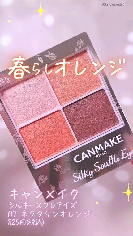 シルキースフレアイズ/キャンメイク/アイシャドウパレットの人気ショート動画