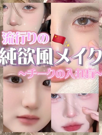 プロ ブラッシャー パレット/CLIO/パウダーチークの人気ショート動画