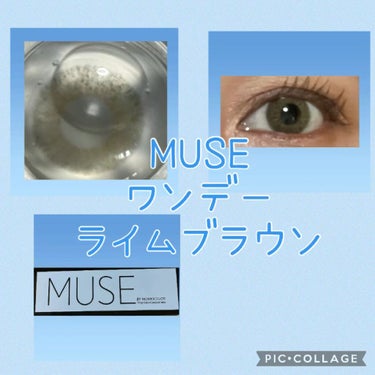 ※動画効果音あり

#MUSE #ワンデー #ライムブラウン

DIA              14.2
BC                8-6
着色直径      13.4

最小のドットが重な