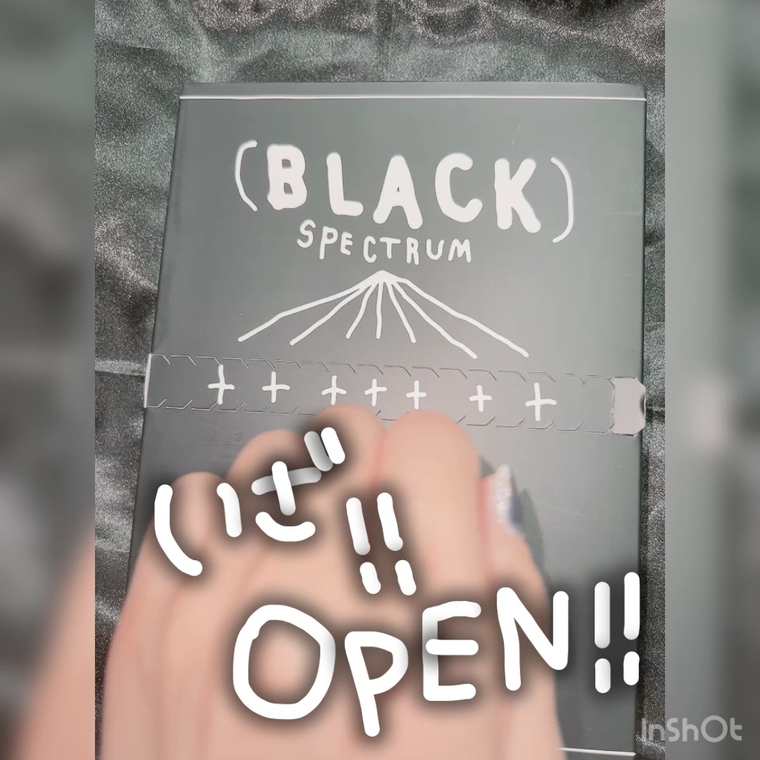 ブラックスペクトラムエディション（rom&nd×INAPSQUARE）/rom&nd/メイクアップキットを使ったクチコミ（1枚目）