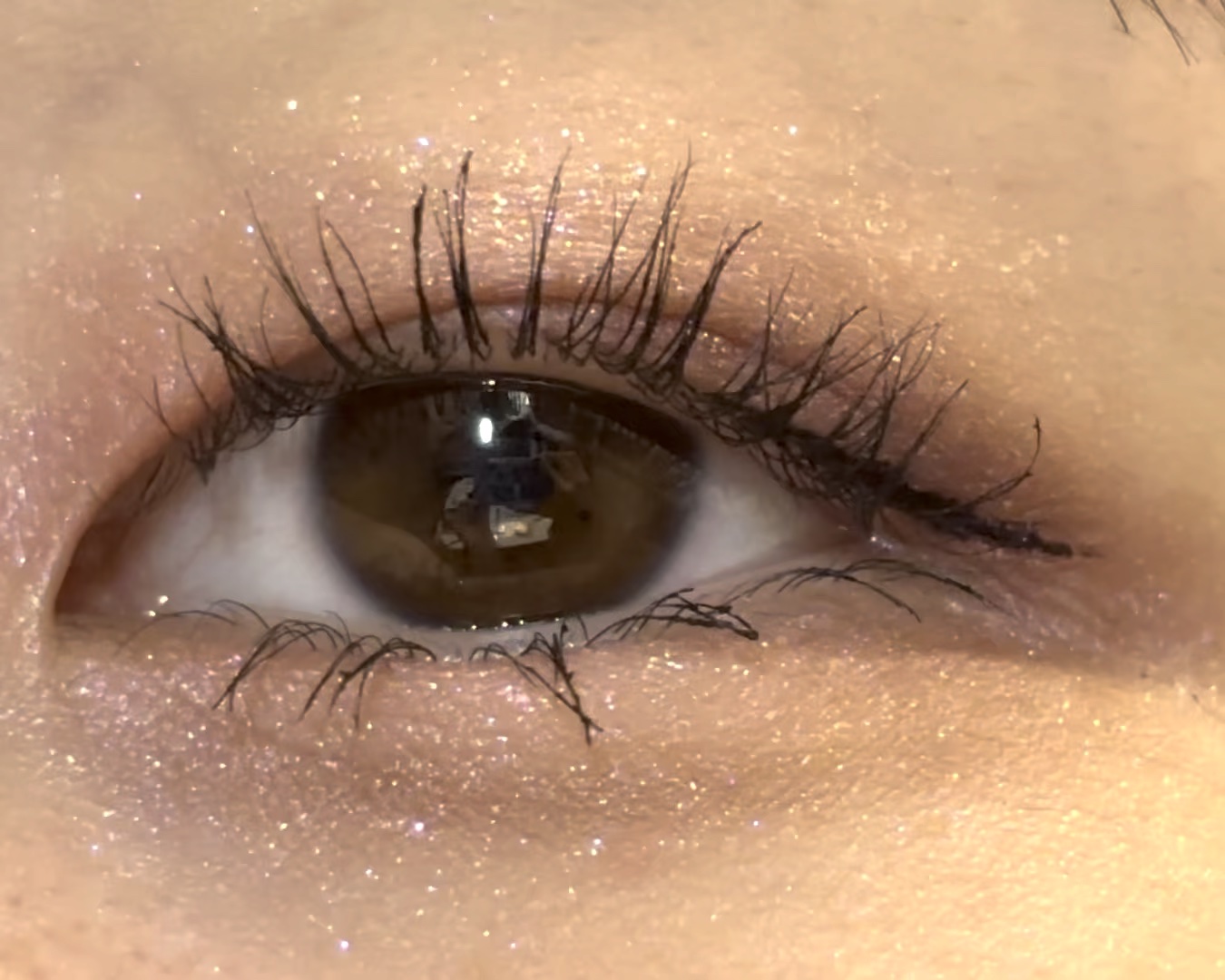 マルチアイパレット/U R GLAM/アイシャドウパレットの人気ショート動画