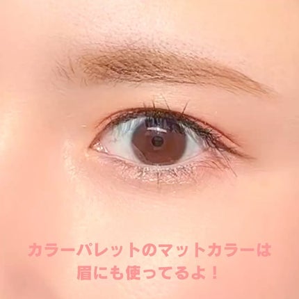 エテュセ アイエディション(カラーパレット)/ettusais/アイシャドウパレットを使ったクチコミ(6枚目)