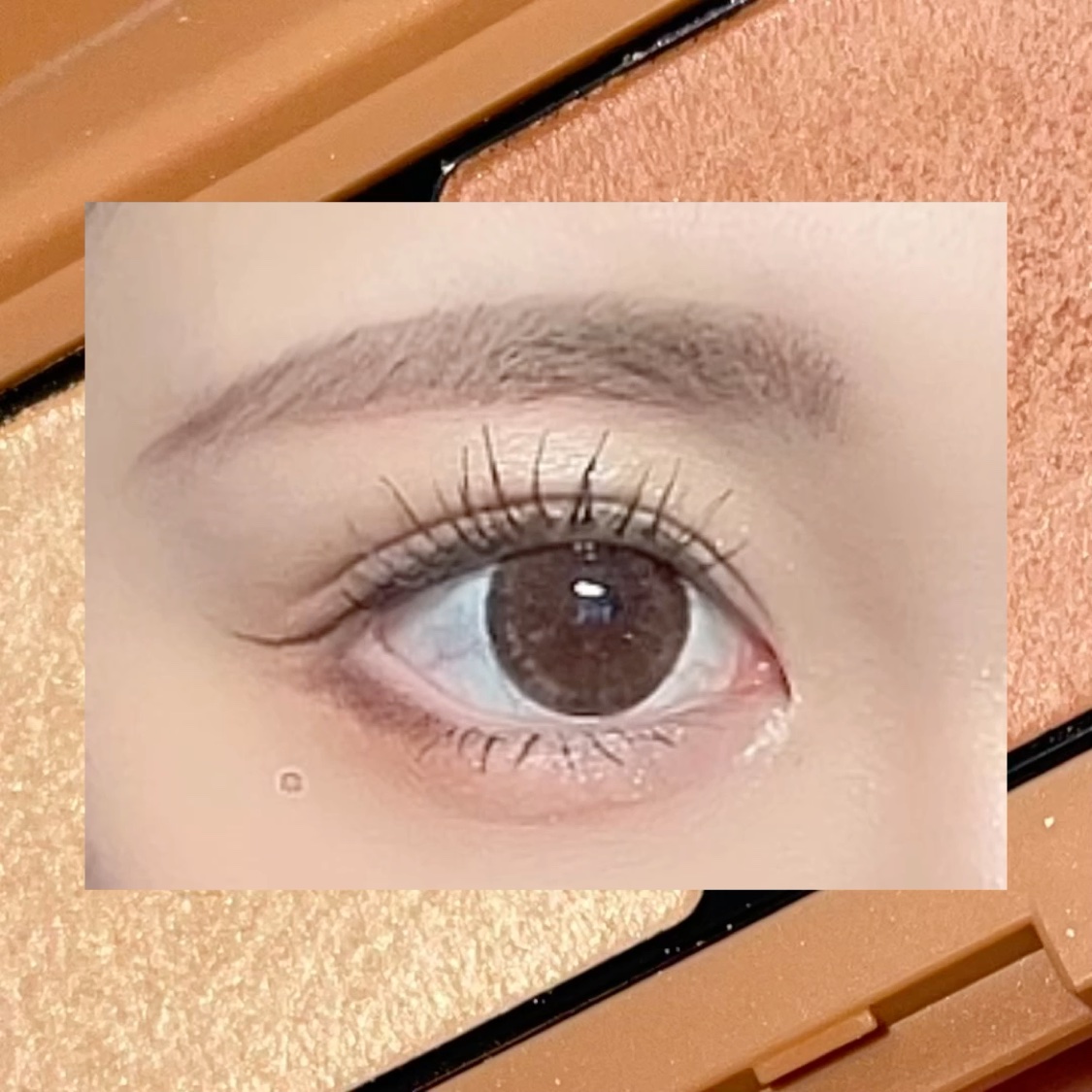 エテュセ アイエディション(カラーパレット)/ettusais/アイシャドウパレットを使ったクチコミ（2枚目）