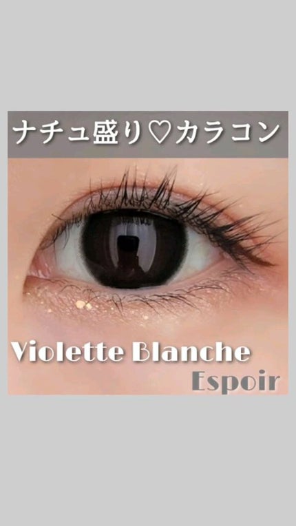 ヴィオレットブランシュ/ヴァイオレットブランシュ/カラーコンタクトレンズを使ったクチコミ(1枚目)