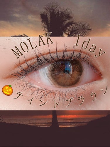 MOLAK 1day/MOLAK/ワンデー（１DAY）カラコンを使ったクチコミ（1枚目）