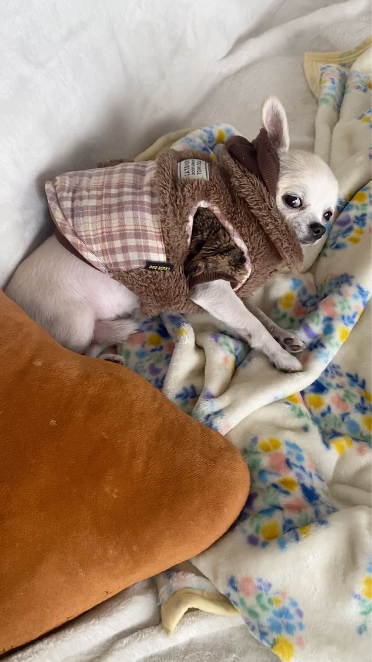 コール・クチュール・ウォータープルーフ/GIVENCHY/ペンシルアイライナーの動画クチコミ3つ目