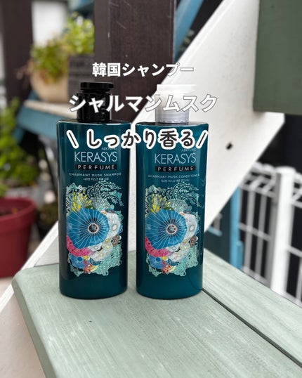 パフューム シャルマンムスク シャンプー&コンディショナー/KERASYS/シャンプー・コンディショナーの人気ショート動画