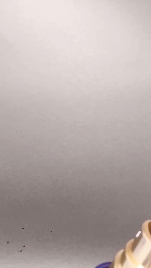 ドクタージー ブラックスネイル コラーゲンミスト/Dr.G/ミスト状化粧水を使ったクチコミ（2枚目）