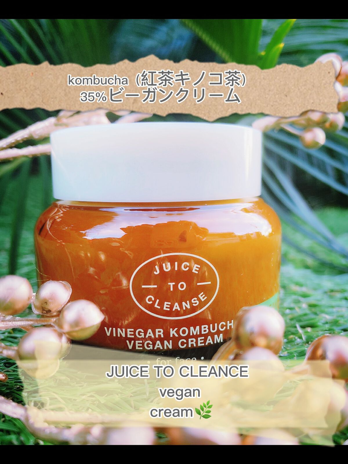 ビネガー コンブチャヴィーガン クリーム/JUICE TO CLEANSE/フェイスクリームを使ったクチコミ（1枚目）