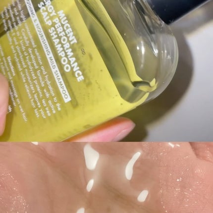 試してみた】ABC VIGOR BODY WASH 01 GREEN FOREST MuCentの 試してみた】ABC VIGOR BODY WASH 01 GREEN FOREST MuCentの