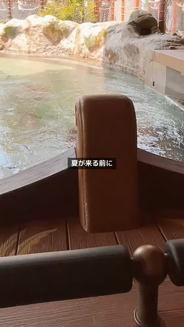 ソフトマットプレストパウダー/FUNNY ELVES方里/プレストパウダーを使ったクチコミ（1枚目）