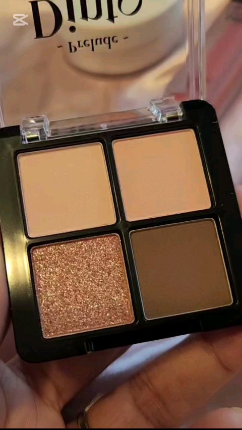 プレリュード・ディント ノスタルジア アイシャドウパレット/Dinto/アイシャドウパレットの動画クチコミ2つ目