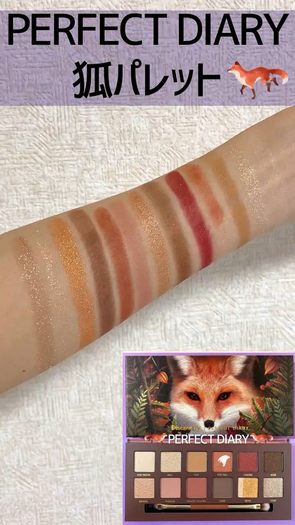エクスプローラ12色 動物アイシャドウパレット/PERFECT DIARY/アイシャドウパレットを使ったクチコミ（1枚目）