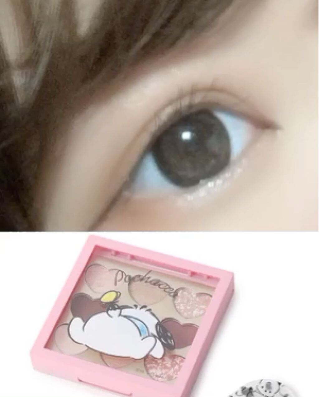 アイシャドウパレット ポチャッコ/IT'S DEMO/アイシャドウパレットの動画クチコミ4つ目